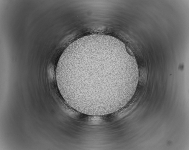 X0000098170287200805151124