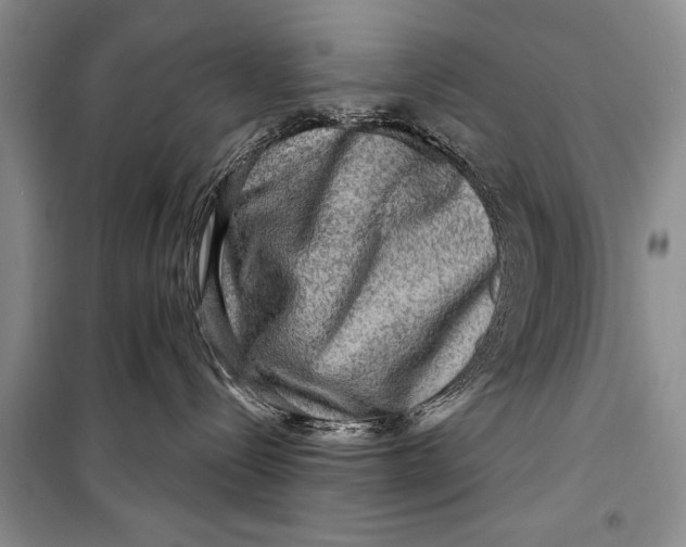 X0000098170288200805151124