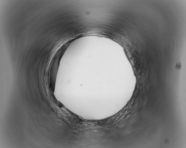 X0000098170289200805151123