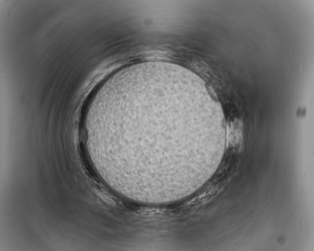 X0000098170291200805151123