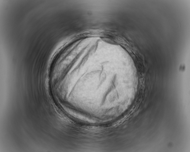 X0000098170293200805151123