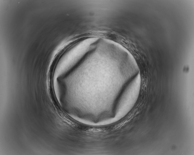 X0000098170294200805151123