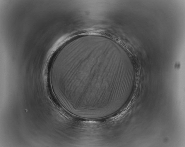 X0000098170295200805151123