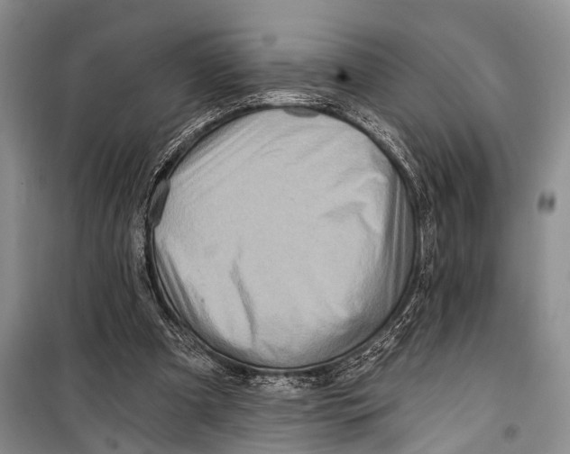 X0000098170297200805151123