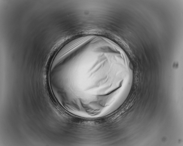 X0000098170298200805151123