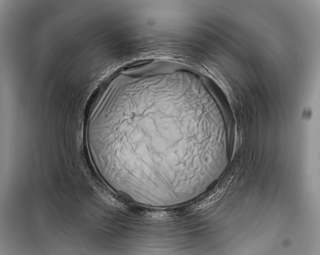 X0000098170301200805151123