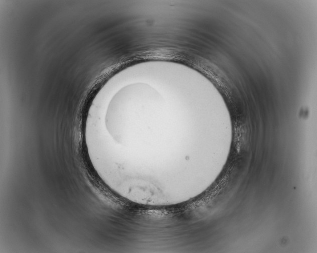 X0000098170302200805151123