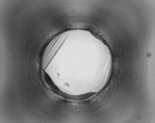 X0000098170305200805151123