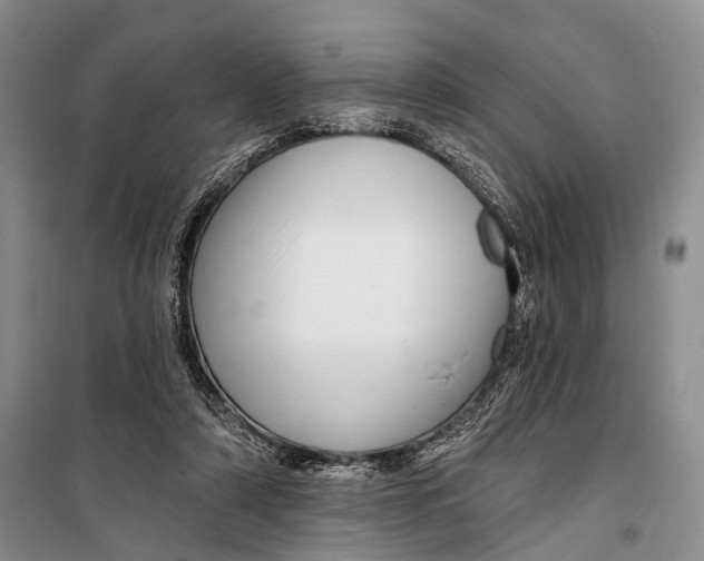 X0000098170306200805151123