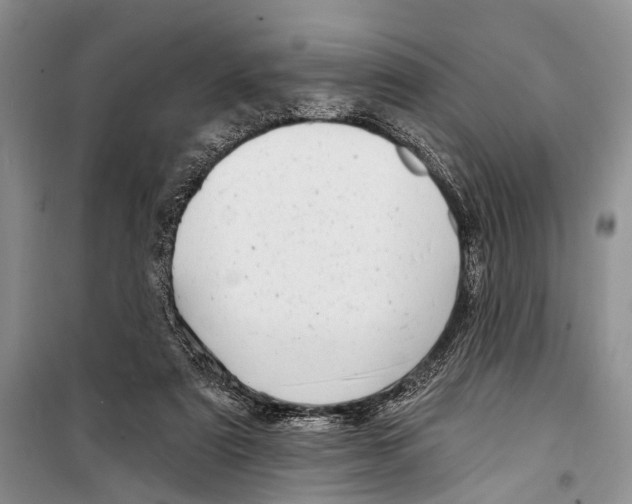 X0000098170307200805151123