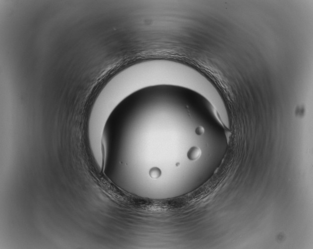 X0000098170308200805151123