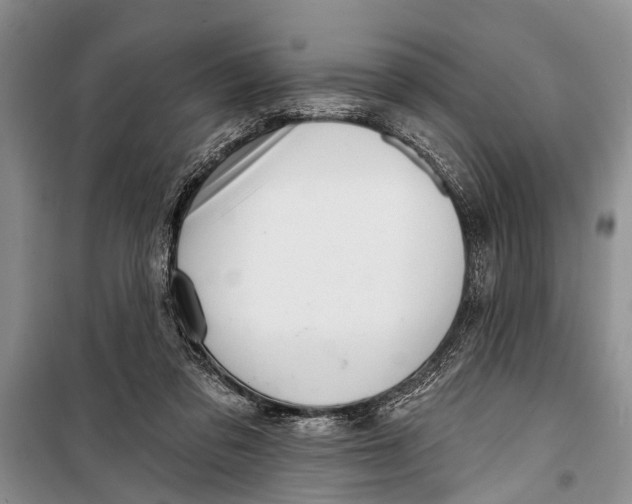 X0000098170309200805151123