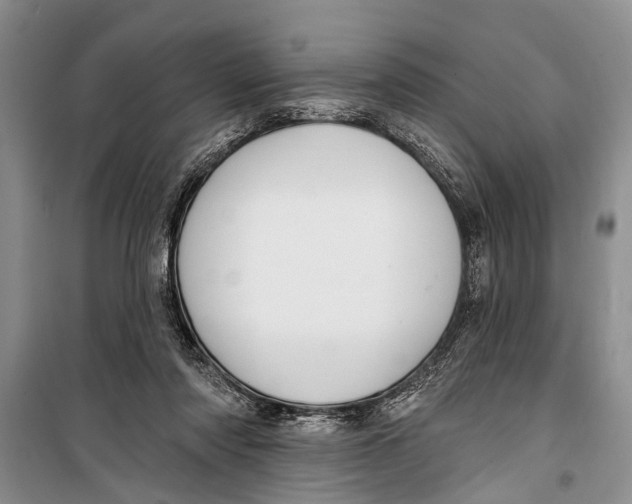 X0000098170310200805151123