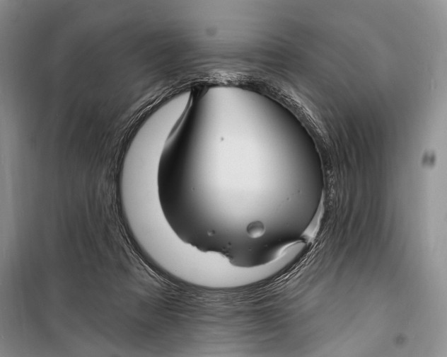 X0000098170313200805151123