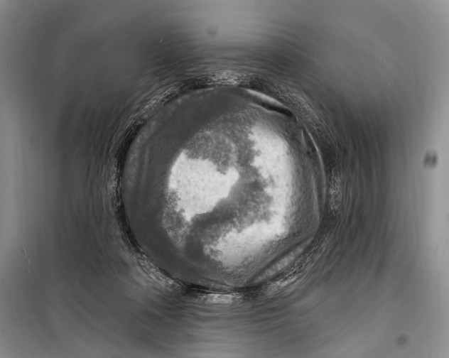 X0000098170314200805151123