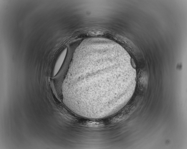 X0000098170315200805151123