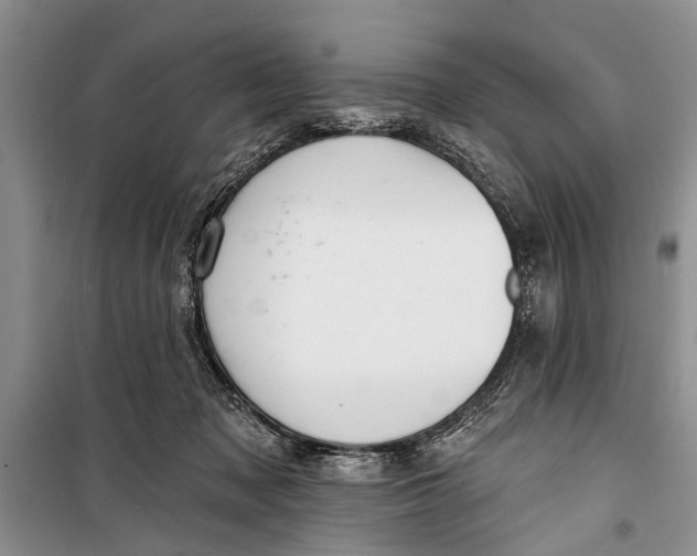 X0000098170317200805151123