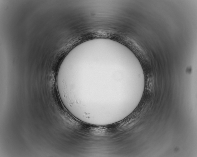 X0000098170318200805151123