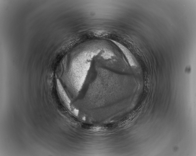 X0000098170319200805151123