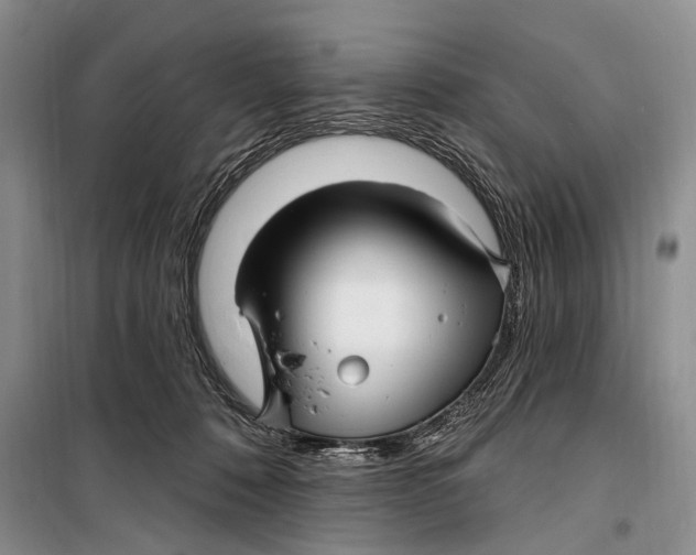 X0000098170320200805151123