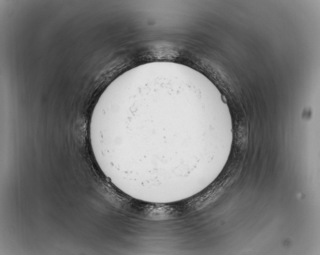 X0000098170321200805151123