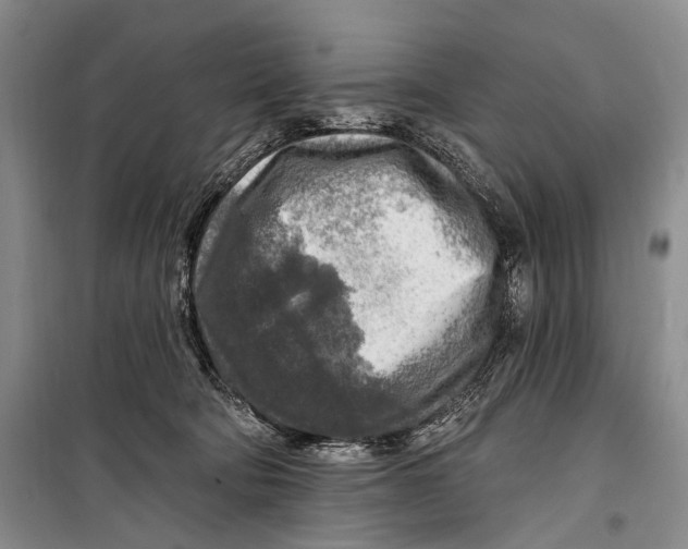 X0000098170322200805151123