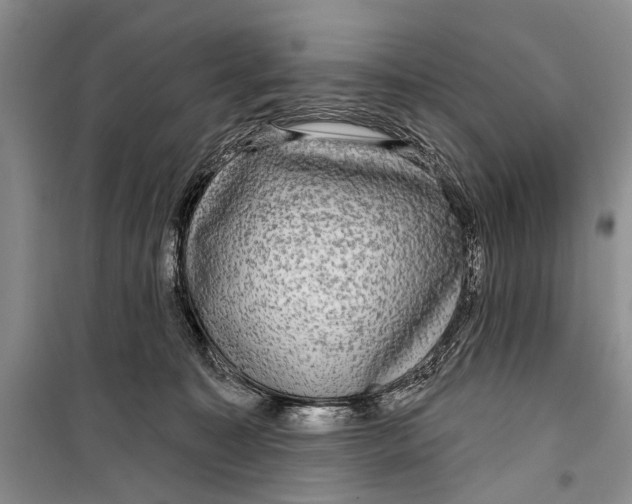 X0000098170323200805151123