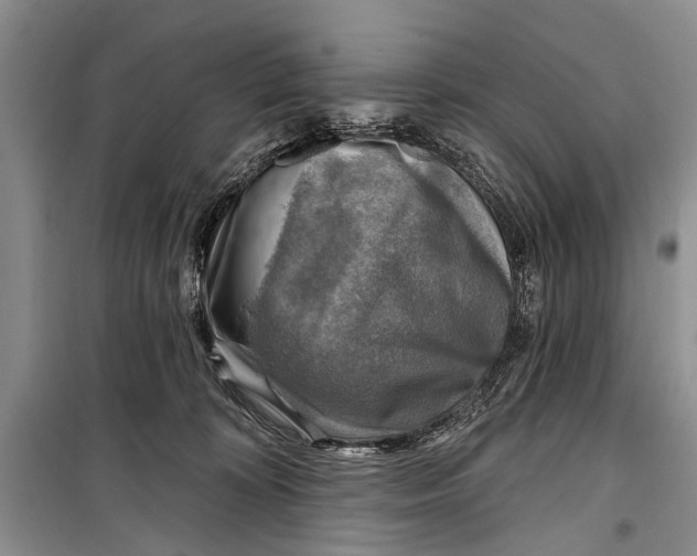 X0000098170324200805151123