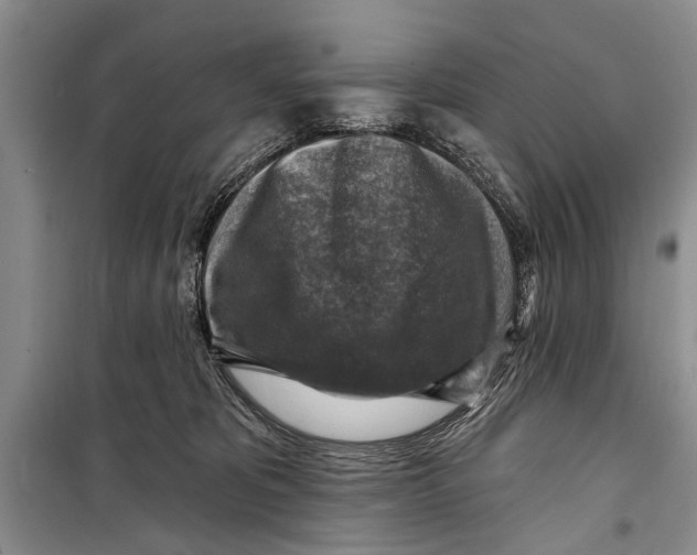 X0000098170325200805151123