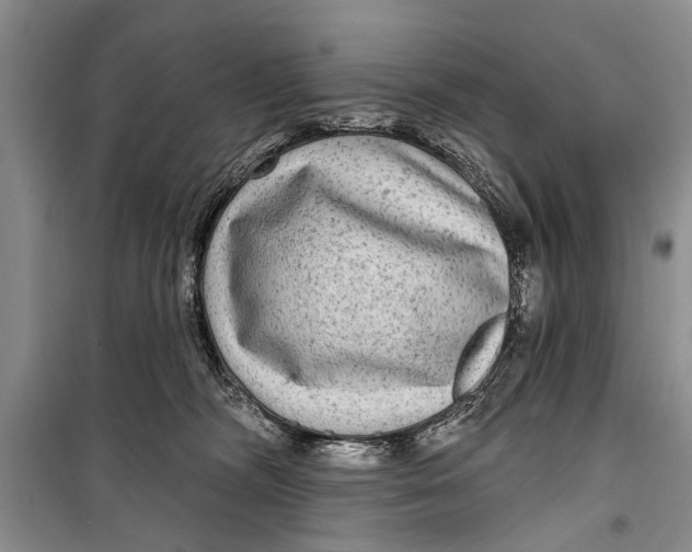 X0000098170326200805151123