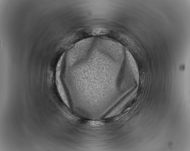 X0000098170327200805151123