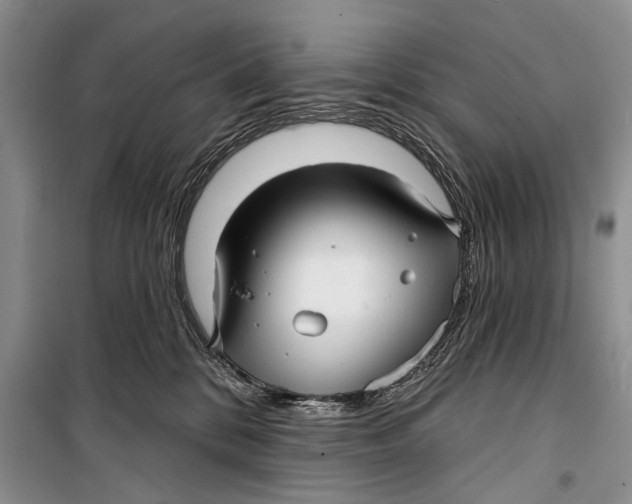 X0000098170328200805151122