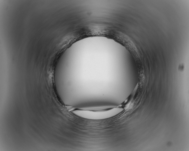 X0000098170329200805151122