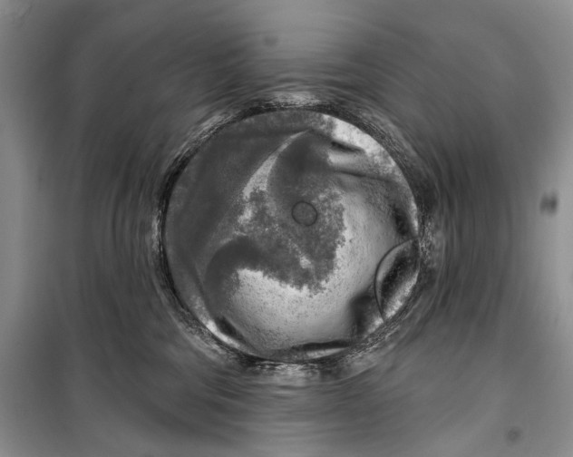 X0000098170330200805151122