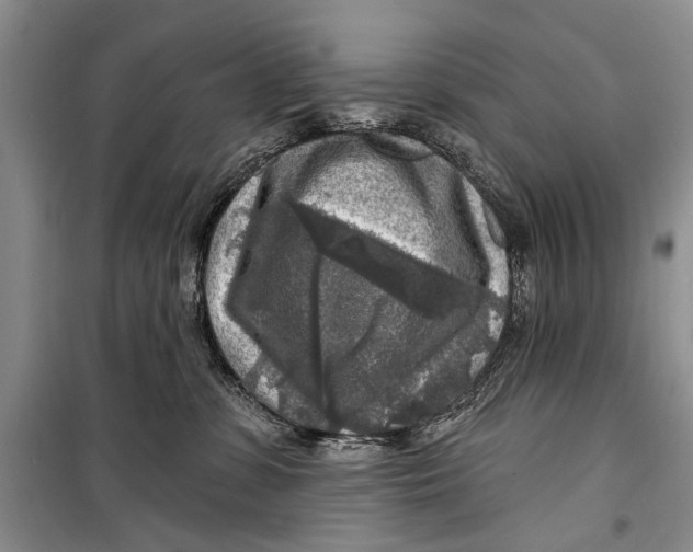 X0000098170331200805151122