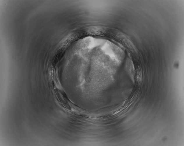 X0000098170332200805151122