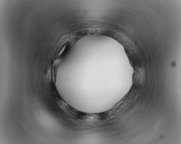 X0000098170333200805151122