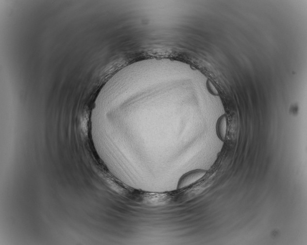 X0000098170334200805151122