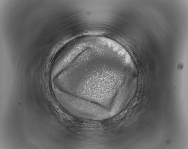 X0000098170337200805151122