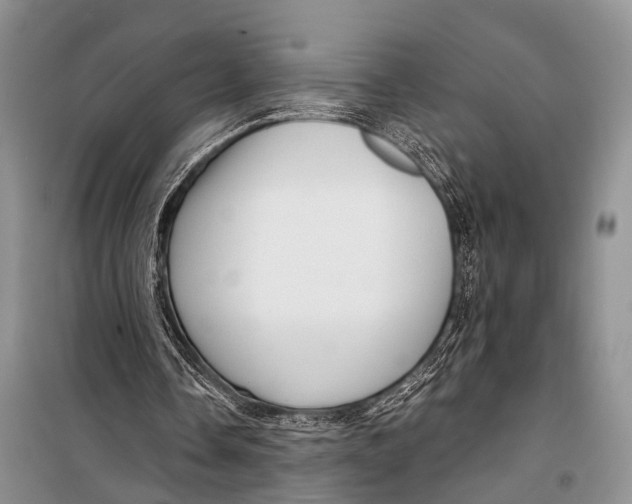 X0000098170338200805151122