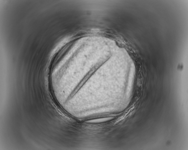 X0000098170341200805151122