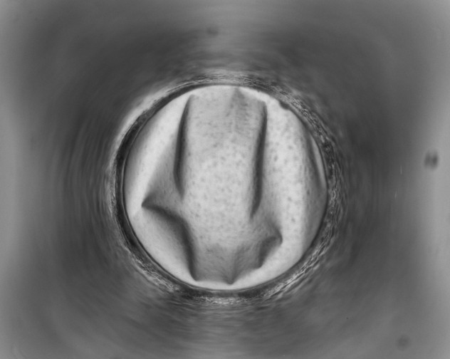 X0000098170342200805151122