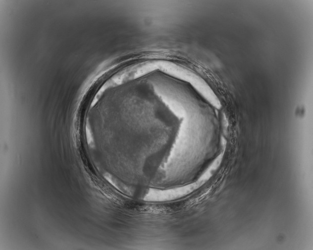 X0000098170343200805151122