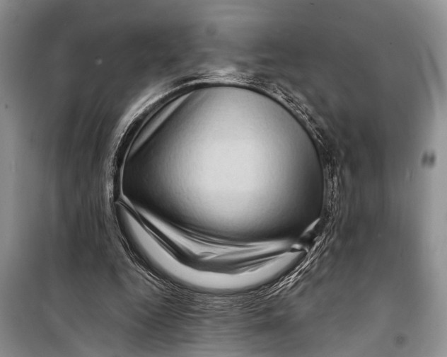 X0000098170344200805151122