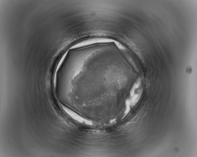 X0000098170347200805151122