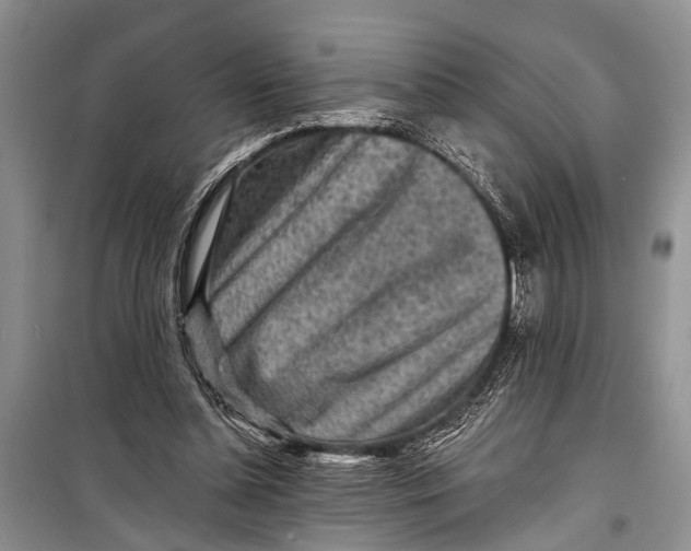 X0000098170348200805151122