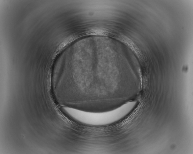 X0000098170349200805151122