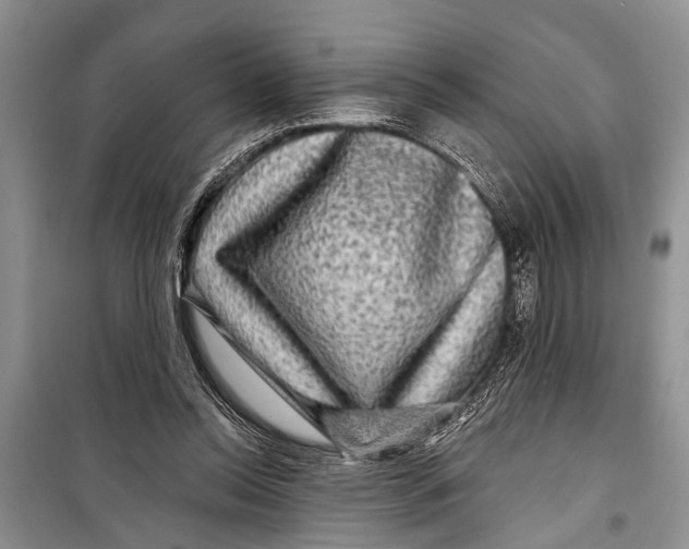 X0000098170350200805151122