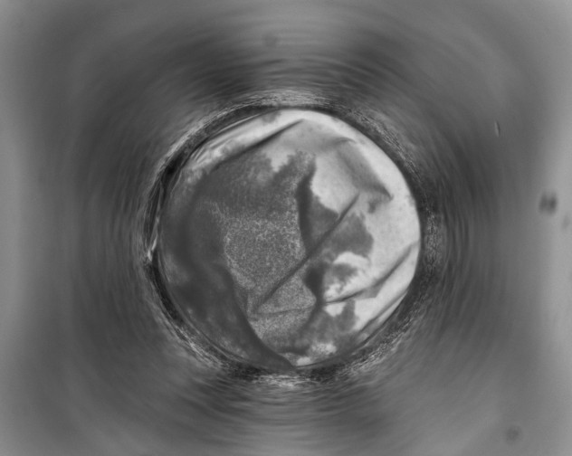 X0000098170351200805151122