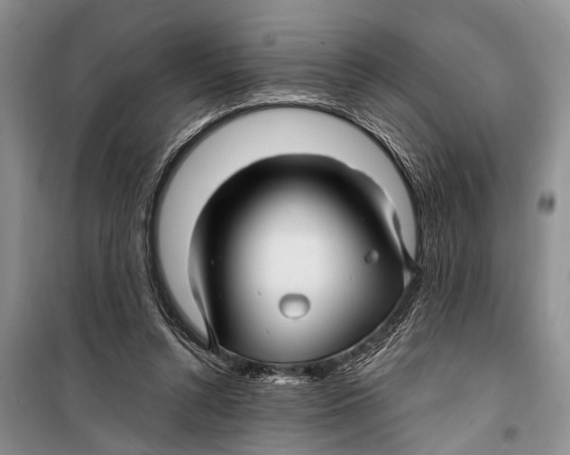 X0000098170352200805151122